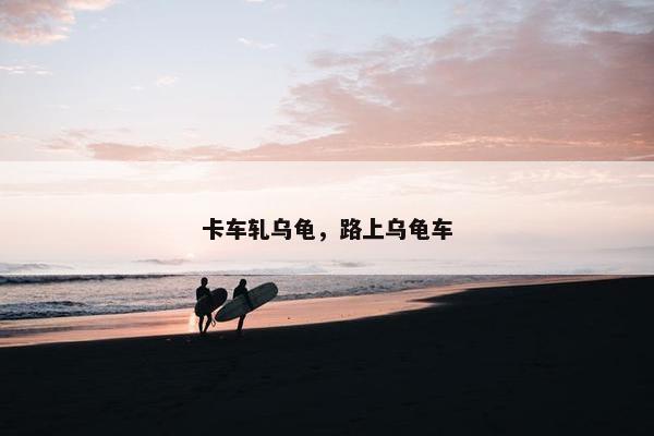 卡车轧乌龟，路上乌龟车