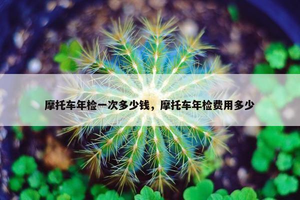 摩托车年检一次多少钱，摩托车年检费用多少