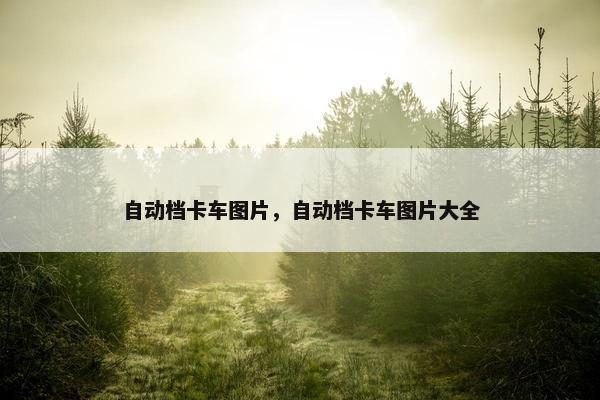 自动档卡车图片，自动档卡车图片大全