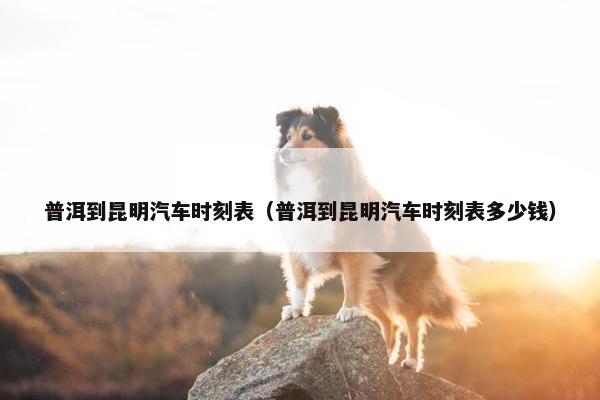 普洱到昆明汽车时刻表（普洱到昆明汽车时刻表多少钱）