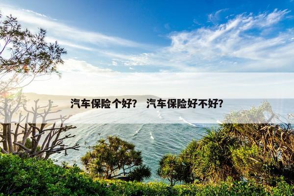 汽车保险个好？ 汽车保险好不好？