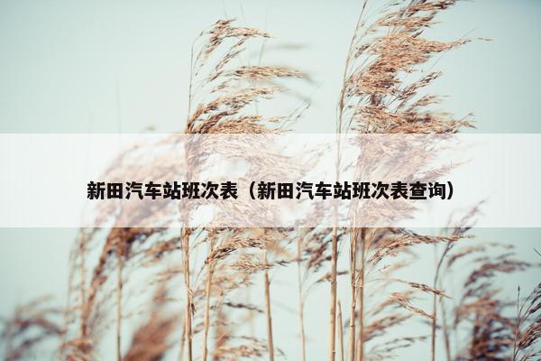 新田汽车站班次表（新田汽车站班次表查询）
