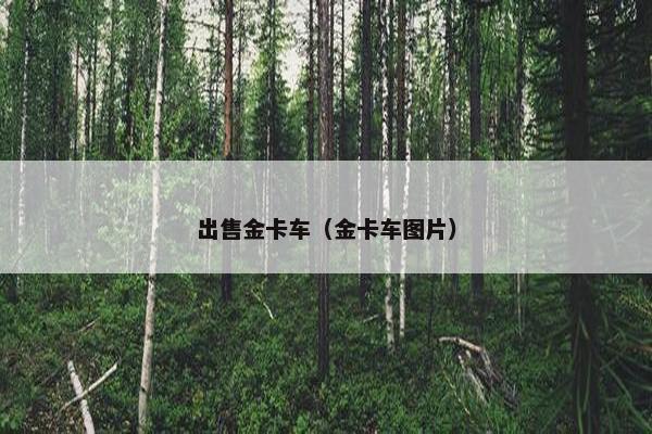 出售金卡车（金卡车图片）