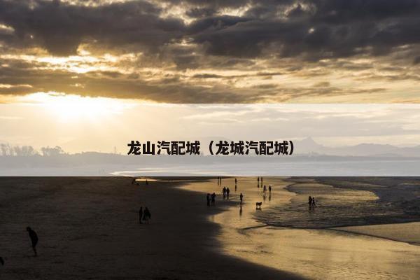 龙山汽配城（龙城汽配城）