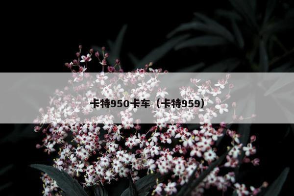 卡特950卡车（卡特959）