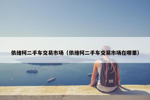 依维柯二手车交易市场（依维柯二手车交易市场在哪里）