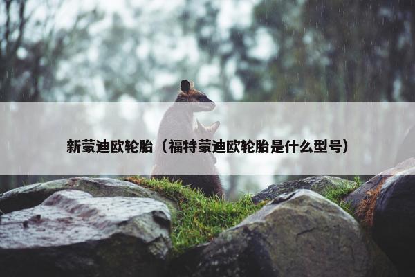 新蒙迪欧轮胎（福特蒙迪欧轮胎是什么型号）