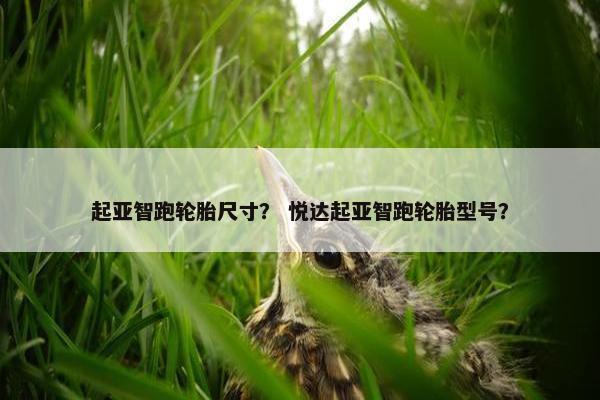 起亚智跑轮胎尺寸？ 悦达起亚智跑轮胎型号？