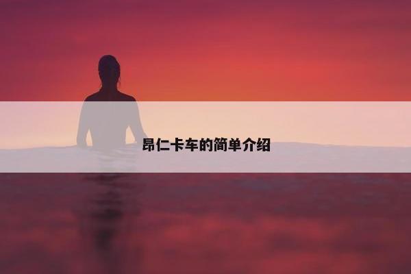 昂仁卡车的简单介绍