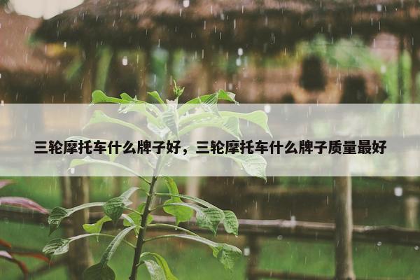 三轮摩托车什么牌子好，三轮摩托车什么牌子质量最好