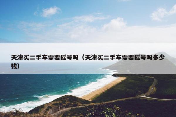 天津买二手车需要摇号吗（天津买二手车需要摇号吗多少钱）