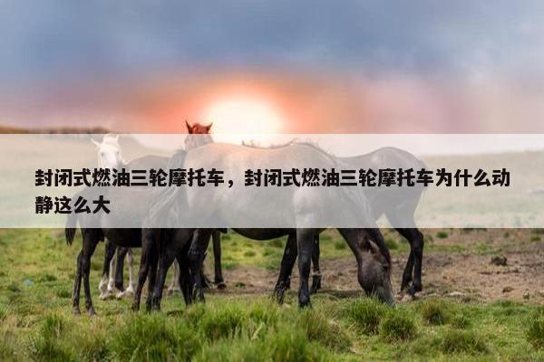 封闭式燃油三轮摩托车，封闭式燃油三轮摩托车为什么动静这么大