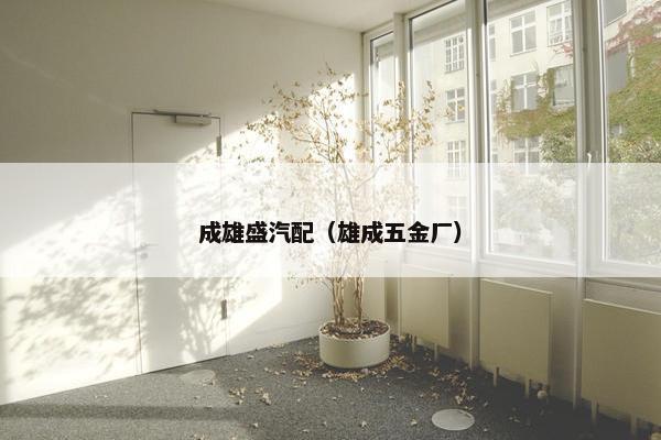 成雄盛汽配（雄成五金厂）