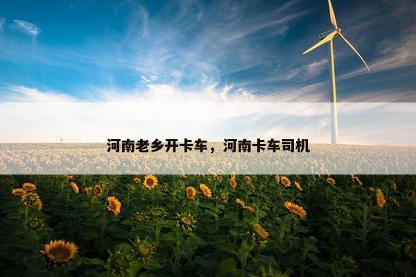 河南老乡开卡车，河南卡车司机