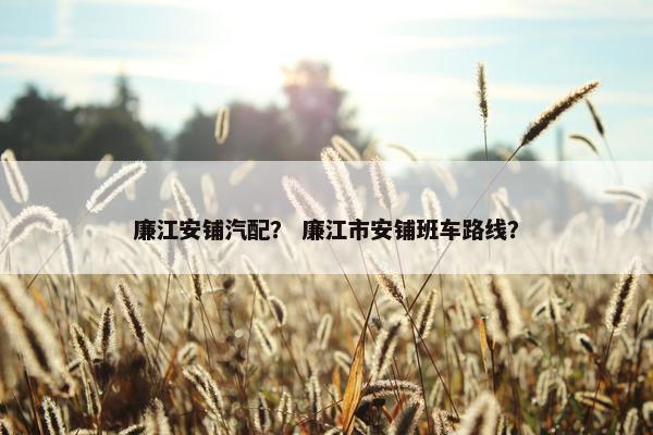廉江安铺汽配？ 廉江市安铺班车路线？
