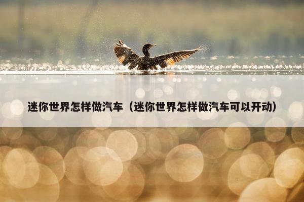 迷你世界怎样做汽车（迷你世界怎样做汽车可以开动）