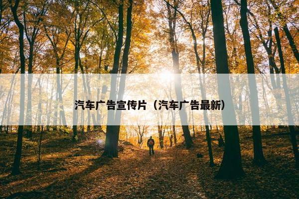 汽车广告宣传片（汽车广告最新）