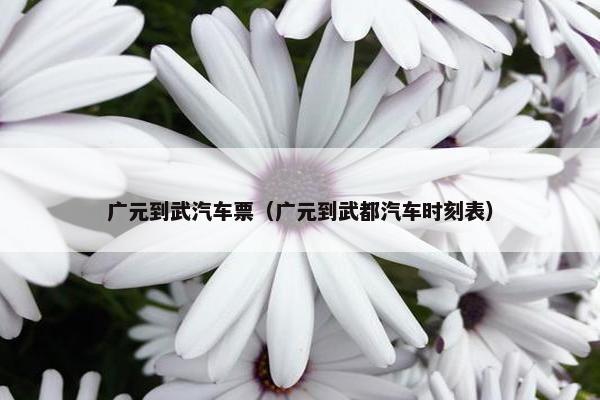 广元到武汽车票（广元到武都汽车时刻表）