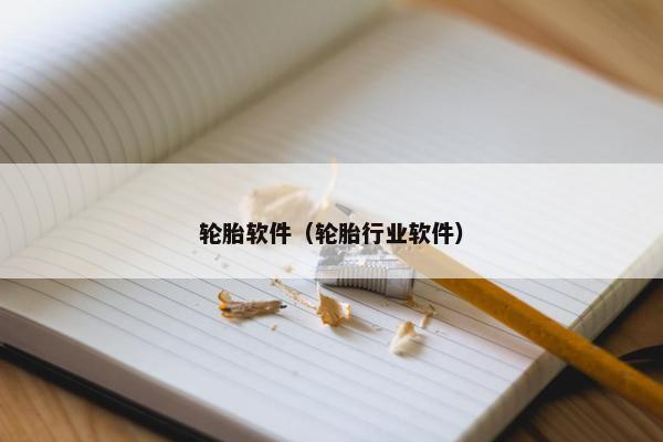 轮胎软件（轮胎行业软件）