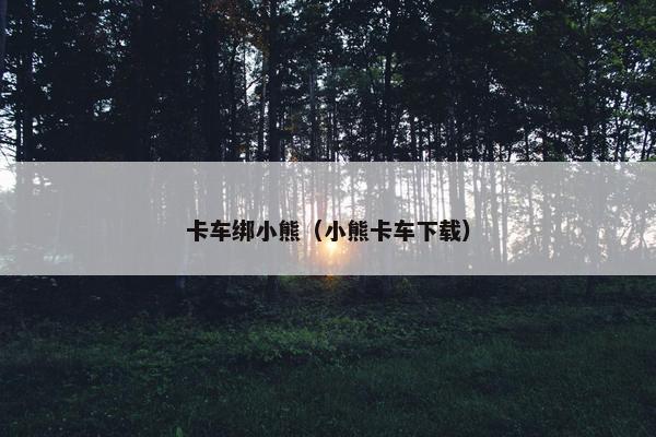 卡车绑小熊（小熊卡车下载）