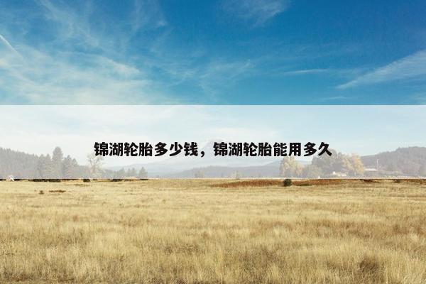 锦湖轮胎多少钱，锦湖轮胎能用多久