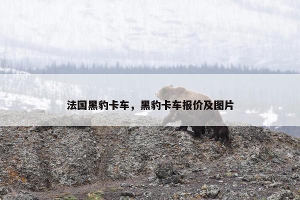 法国黑豹卡车，黑豹卡车报价及图片