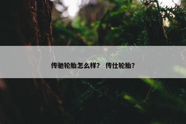 传驰轮胎怎么样？ 传仕轮胎？