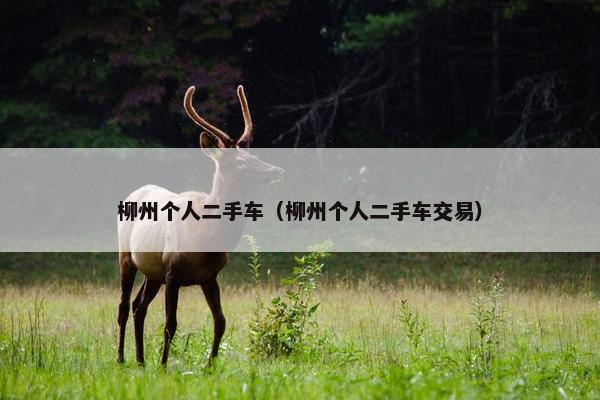 柳州个人二手车（柳州个人二手车交易）