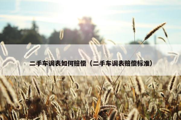 二手车调表如何赔偿（二手车调表赔偿标准）