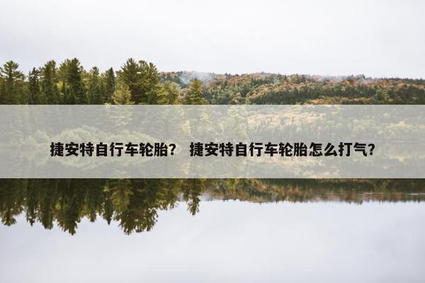 捷安特自行车轮胎？ 捷安特自行车轮胎怎么打气？