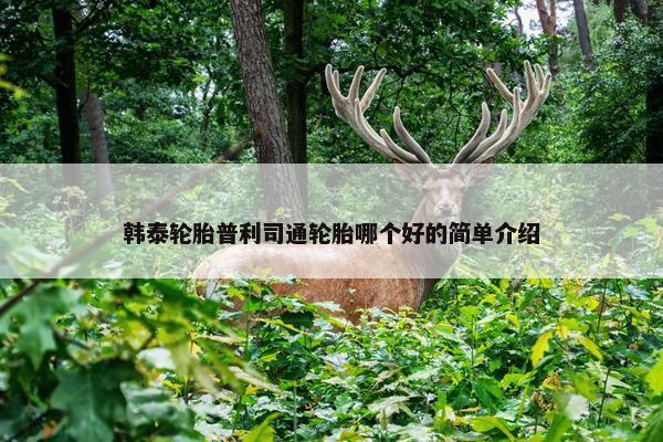 韩泰轮胎普利司通轮胎哪个好的简单介绍