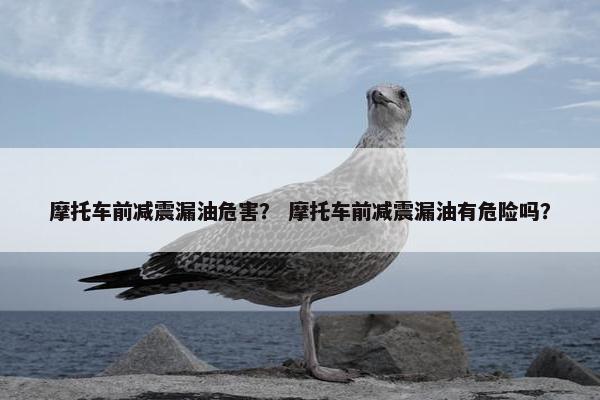 摩托车前减震漏油危害？ 摩托车前减震漏油有危险吗？