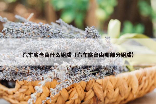 汽车底盘由什么组成（汽车底盘由哪部分组成）