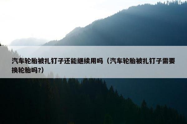 汽车轮胎被扎钉子还能继续用吗（汽车轮胎被扎钉子需要换轮胎吗?）