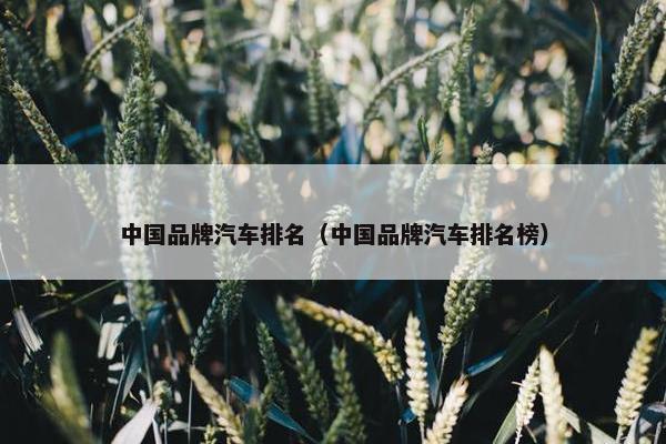 中国品牌汽车排名（中国品牌汽车排名榜）