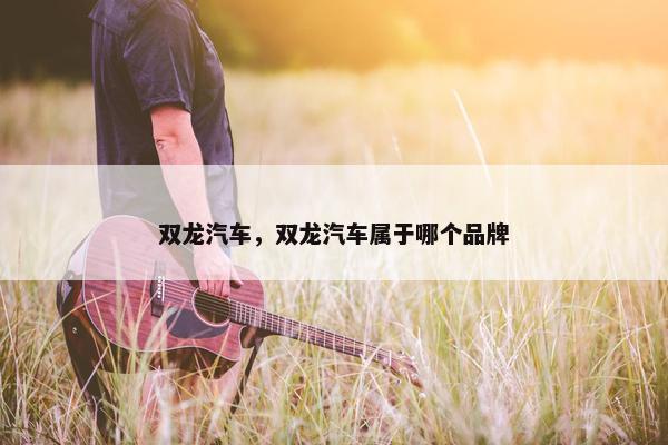 双龙汽车，双龙汽车属于哪个品牌