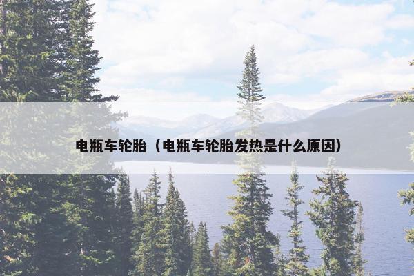 电瓶车轮胎（电瓶车轮胎发热是什么原因）