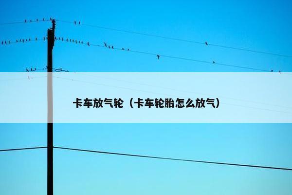卡车放气轮（卡车轮胎怎么放气）