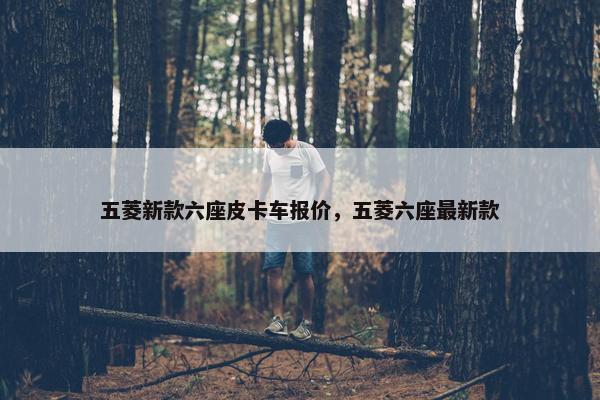 五菱新款六座皮卡车报价，五菱六座最新款