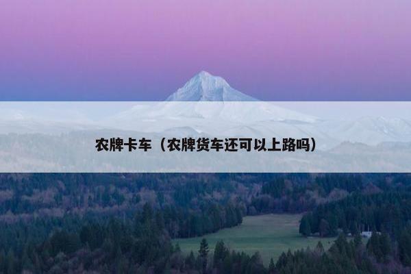 农牌卡车（农牌货车还可以上路吗）