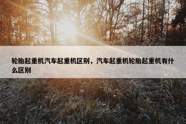 轮胎起重机汽车起重机区别，汽车起重机轮胎起重机有什么区别