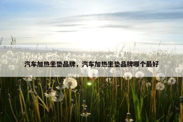 汽车加热坐垫品牌，汽车加热坐垫品牌哪个最好
