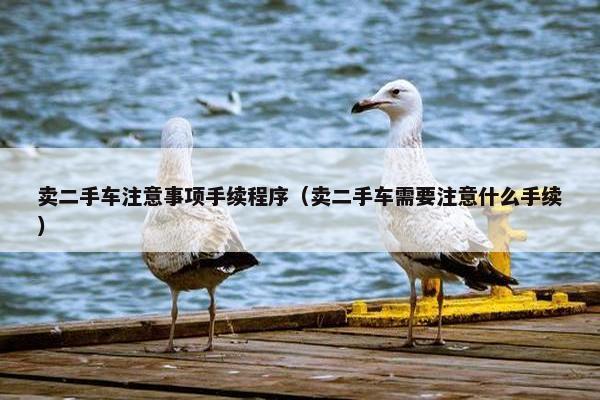 卖二手车注意事项手续程序（卖二手车需要注意什么手续）