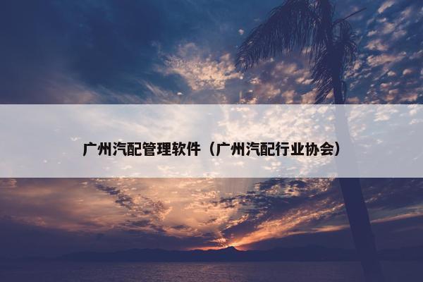 广州汽配管理软件（广州汽配行业协会）