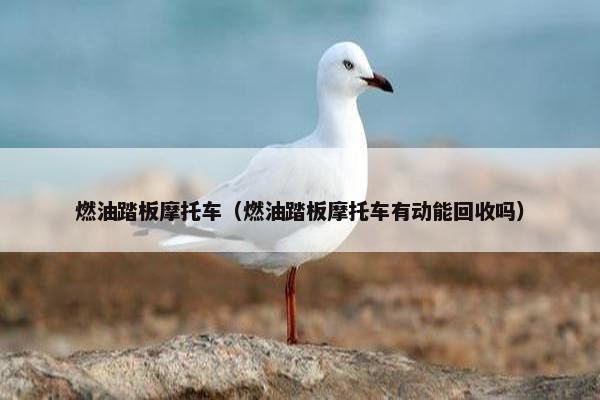 燃油踏板摩托车（燃油踏板摩托车有动能回收吗）