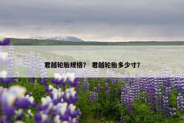 君越轮胎规格？ 君越轮胎多少寸？