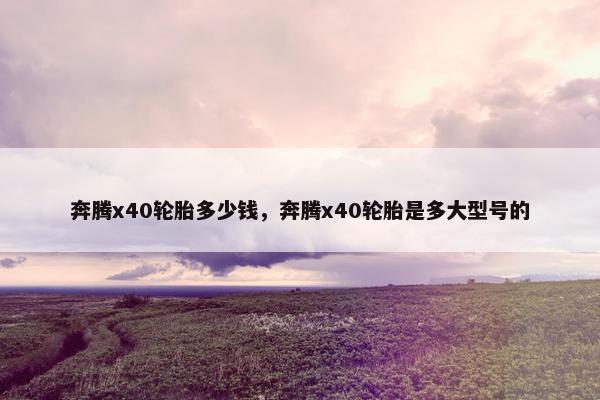 奔腾x40轮胎多少钱，奔腾x40轮胎是多大型号的