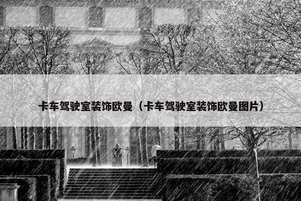 卡车驾驶室装饰欧曼（卡车驾驶室装饰欧曼图片）