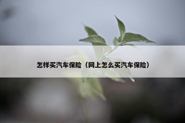 怎样买汽车保险（网上怎么买汽车保险）
