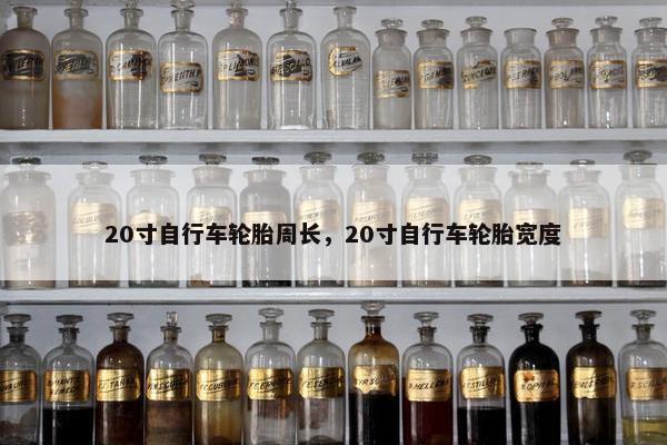 20寸自行车轮胎周长，20寸自行车轮胎宽度
